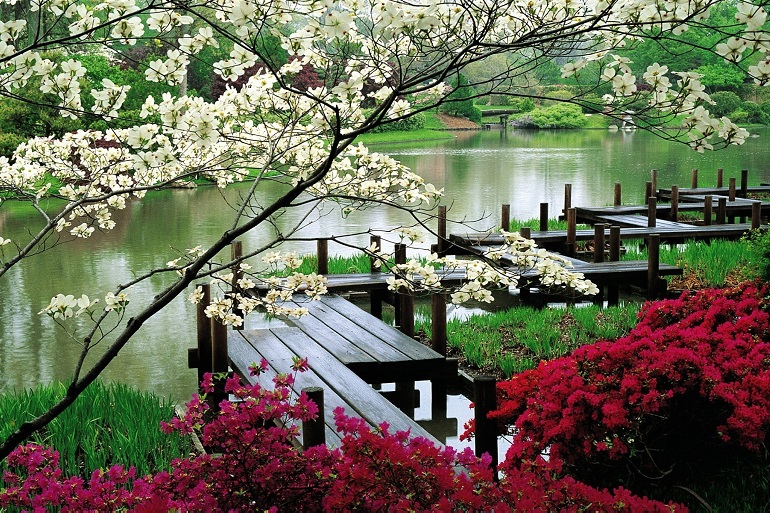 Los jardines a través del tiempo