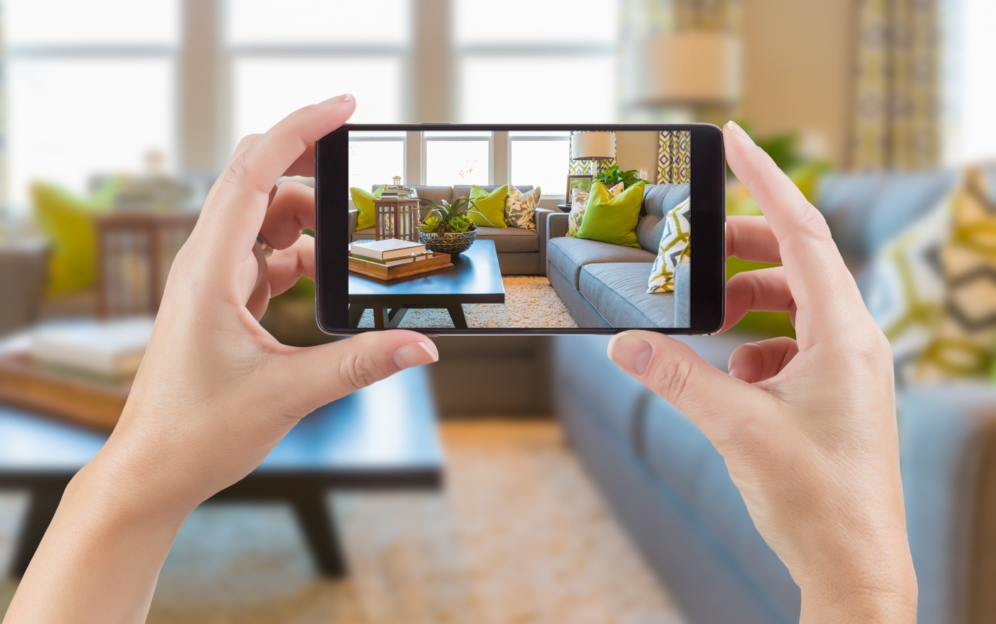 1686303964_decoracion-artificial.jpg