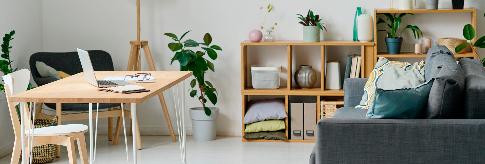 1659954120_salon-plantas.jpg