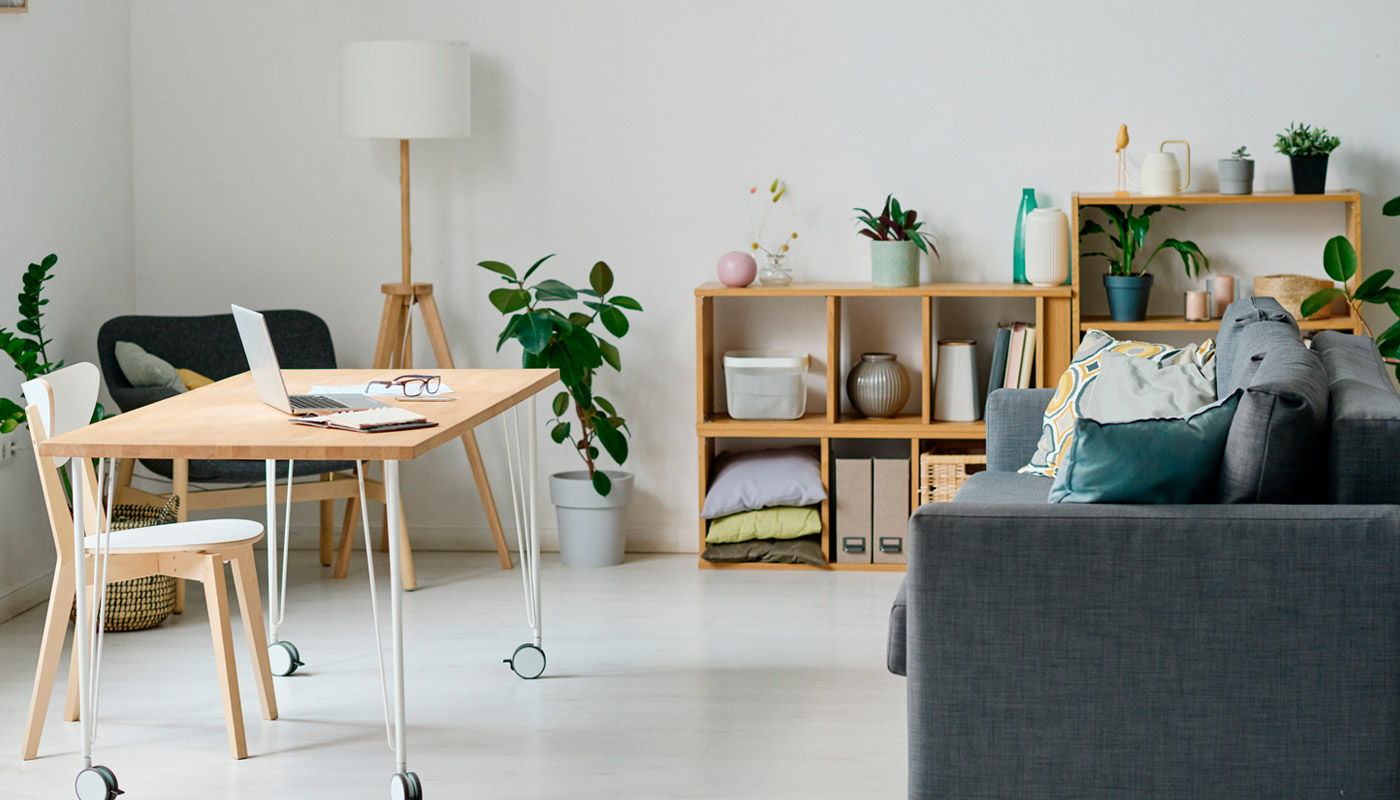 ¿Cómo decorar con plantas de interior?
